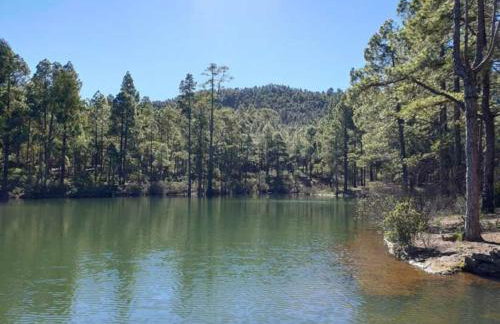 Ca Lili 2, Precioso apartamento en el Puerto De Las Nieves, Agaete - Foto 11