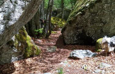 Maison de village gîte de "La Roche" - Foto 34