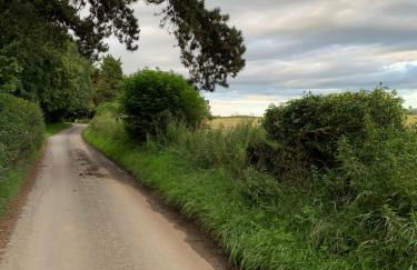 Jenson Cottage - Photo 47