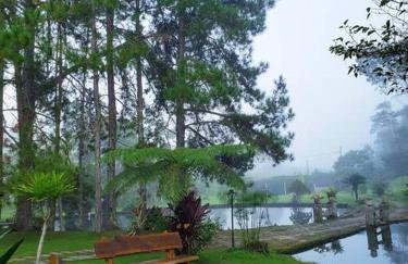 Friburgo Lagos p Pesca,Banho,Sauna,Campinho - Foto 62