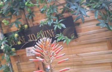 petit cocon - Foto 12