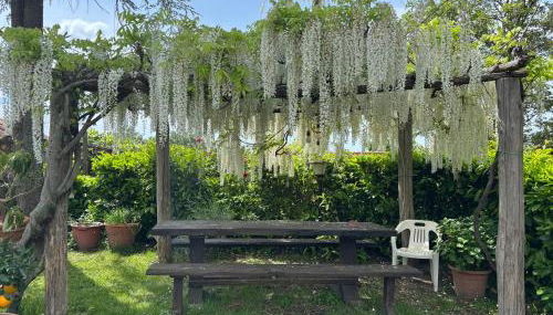 Monolocale La Mimosa - Foto 2