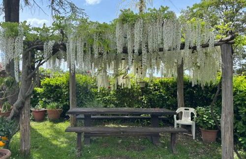 Monolocale La Mimosa - Foto 2