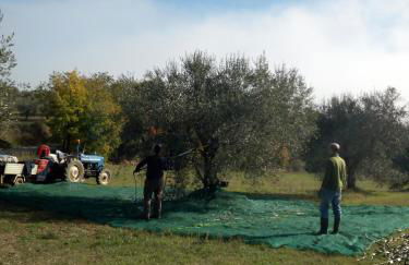 Podere Schioppello Casale con appartamenti privati - Foto 19