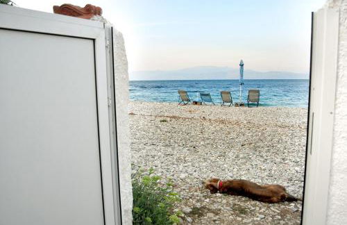 Villa Akrata - Photo 80