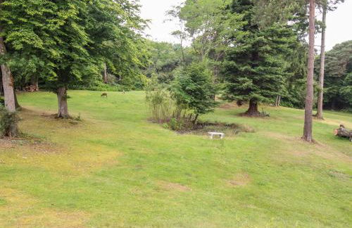 Deer Leap House - Photo 77