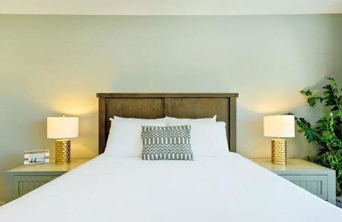 Outdoor Haven with Spa Walk to La Jolla Shores Beach - Photo 53