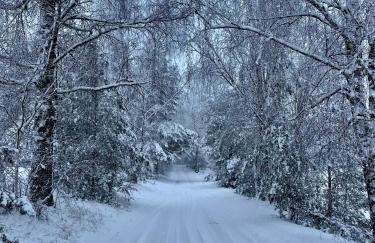 Leśne Siedlisko Wygonin - Foto 35