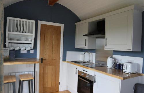 Oak Moor Shepherd Hut - Brecon Beacons, LD3 7TD - Foto 58