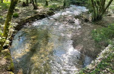 A l'orée des bois - Foto 32