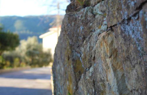 Casa do Avô - Foto 35