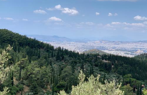 Lillian’s House - Foto 79