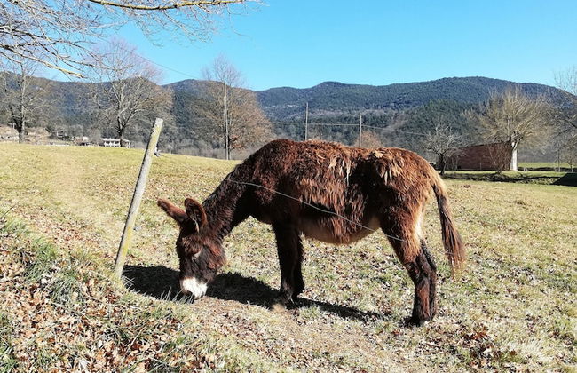 Casa Can Boix - Foto 36