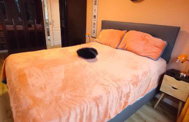 Ferienwohnung Cologne - Foto 28