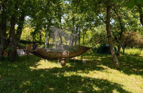 Palmira Apartments - Foto 42