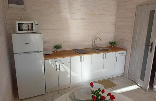 Domki Platinium Chłopy - Sarbinowo - Foto 10