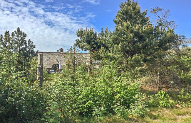 "Ilva" - 300m to the fjord - Foto 3