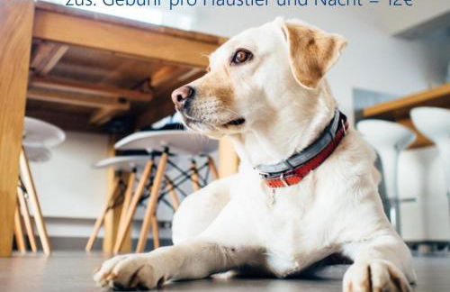 Kajüte Sieben - Foto 22