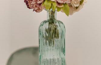 Apartamento Goa - Foto 28