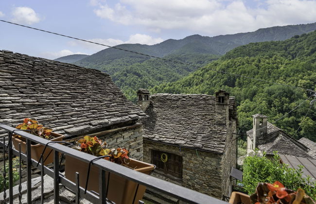 Il Gianlupo Grigio - Foto 12