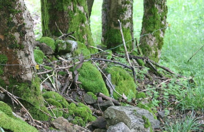 Haus Hiller Comfortable Holiday Residence - Photo 32