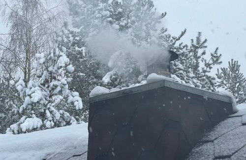 U Progu Lasu - Foto 71