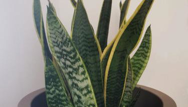 Casa el Concepto - Foto 4