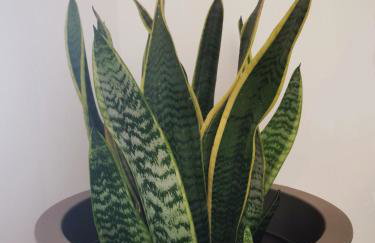 Casa el Concepto - Foto 4