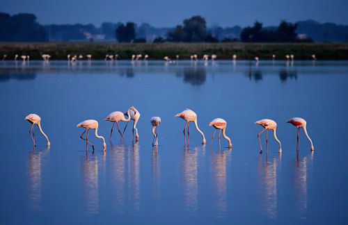 Apt Nettuno - Relax Privè - 3 Bedrooms - 2 Baths - AC - Parking - Wifi - Foto 17