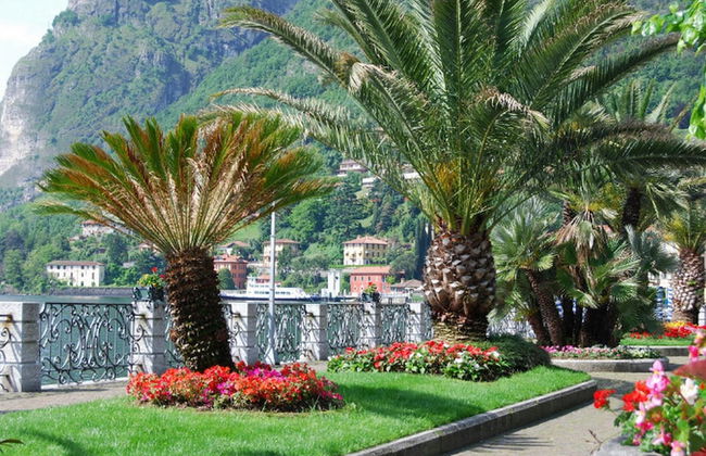 Residence degli Oleandri 2A - Photo 50