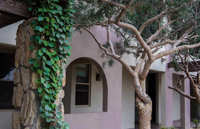 APARTMENT 3BR OCEAN VIEW 1531 - Foto 18