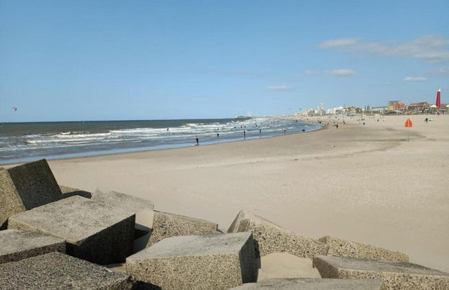 Spacious Modern Apartment in Scheveningen - Foto 61