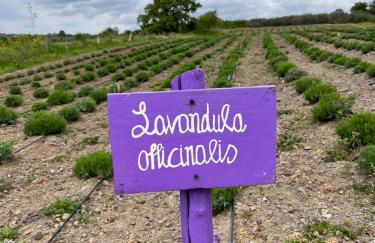 Casa laggiù - Foto 55