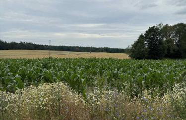 W Tarczynach - mazurski dom z widokiem na jezioro - Foto 45