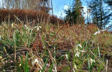 Chatka pod Lubaniem - Photo 79