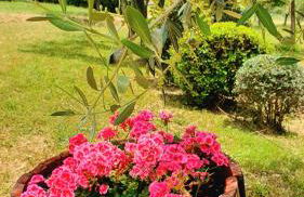 Vacanze Sant Andrea - Foto 16