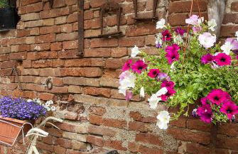 Appartamento Vecchio Mulino - Foto 4