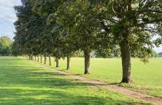 Cosy Home STUDIO - Foto 7