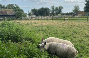 Walland Cottage Romney Retreat - Photo 24