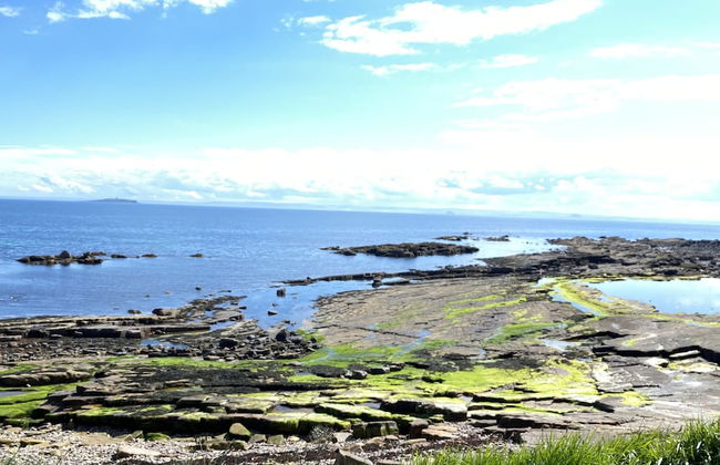 The Crail Maltings - Foto 25