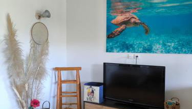 Havre de paix T3 vue mer - Foto 4