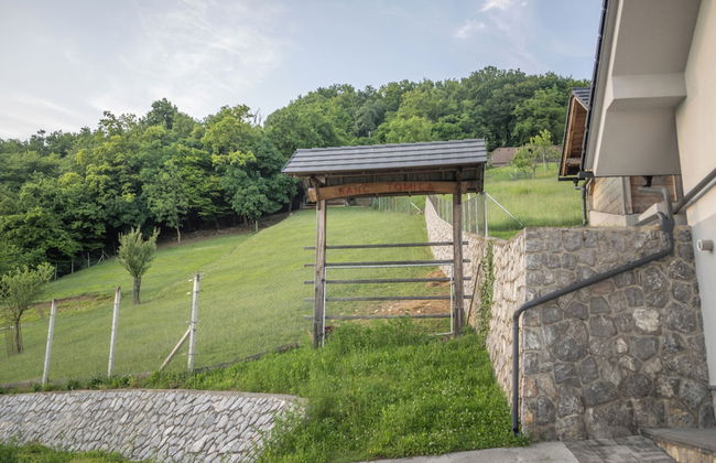 Vineyard cottage Jelenov hrib - Foto 28