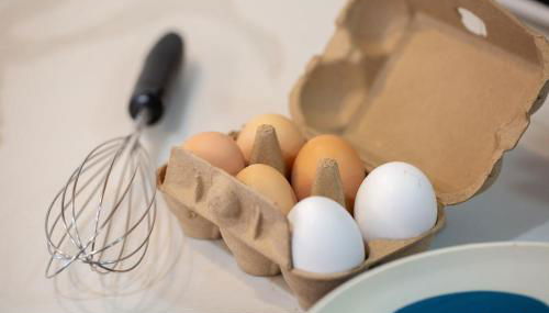 Red Barn Inn Feed Deer and play games & Firepit - Foto 2