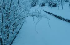 Noclegi Szymrych - Foto 58