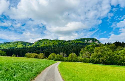 Panoramablick mit Premium-Wanderwegen vor der Haustür - Foto 31