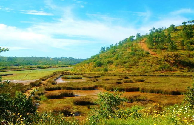 Quiet Cottage in Estate Casas da Cerca near Troviscais - Foto 28