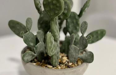 Luxury in the centre of Murcia - Foto 24