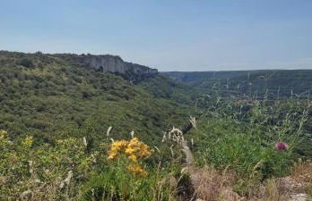 Gîte Ô Nature - Foto 16