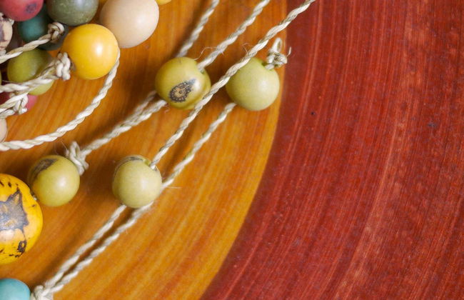 Oficina de artesanato na floresta amazônica - Foto 1