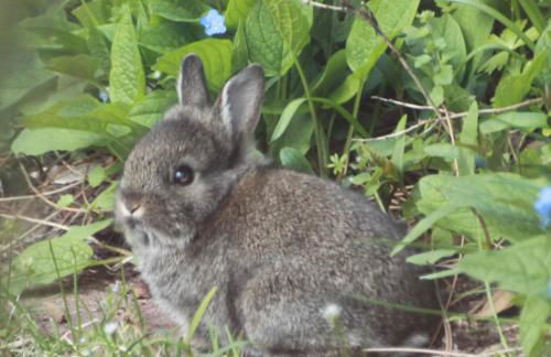 Landhuus Stender - Foto 13
